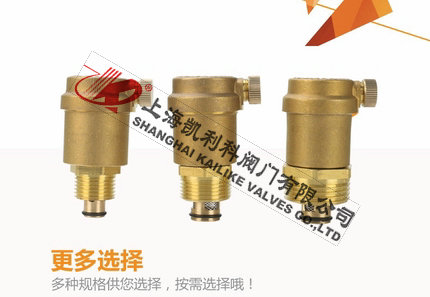 AVAX暖氣自動(dòng)排氣閥選擇